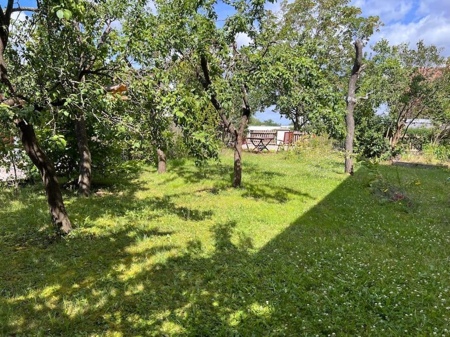 Appartement Wunderschoene In Perfekter Lage