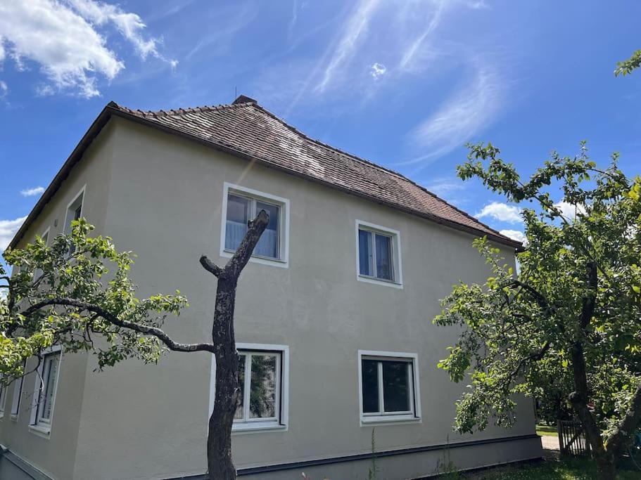 Wunderschoene In Perfekter Lage *