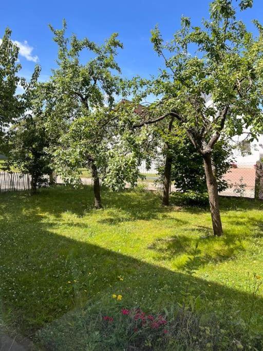 Wunderschoene In Perfekter Lage *